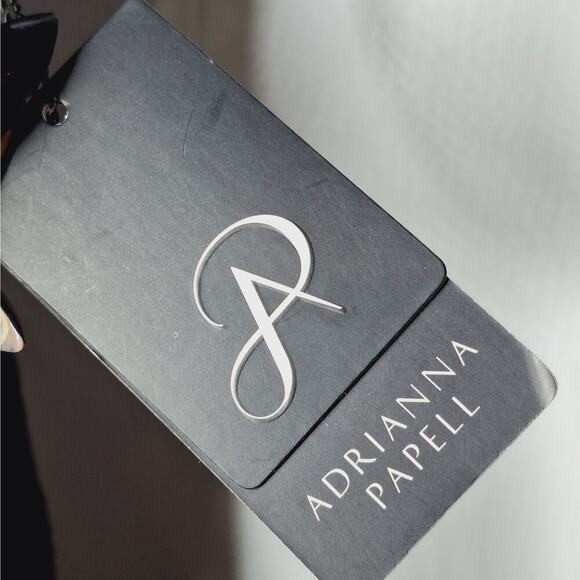 Adrianna Papell Pleat Stripe Filagree Dress Lace Overlay Fit Flare Cap Sleeve 10 - Picture 6 of 14